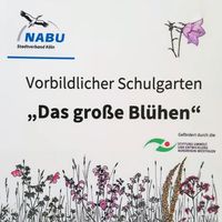 Das gro&szlig;e Bl&uuml;hen 4